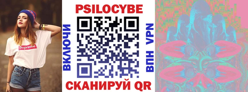 Галлюциногенные грибы Psilocybe Петрозаводск