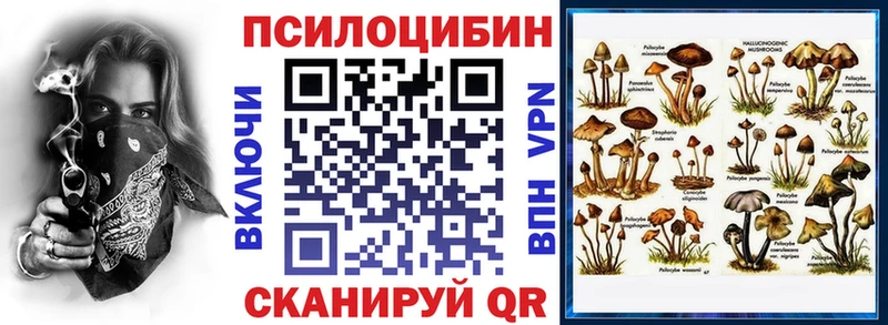 OMG ссылки  Петрозаводск  Галлюциногенные грибы Magic Shrooms 